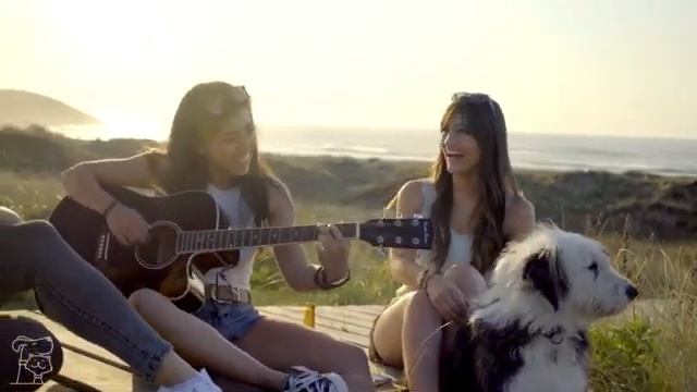 Soothing Music for Dogs to Calm Down, Relax & Sleep | Dog Music Therapy Calming Aid for Relaxation смотреть онлайн