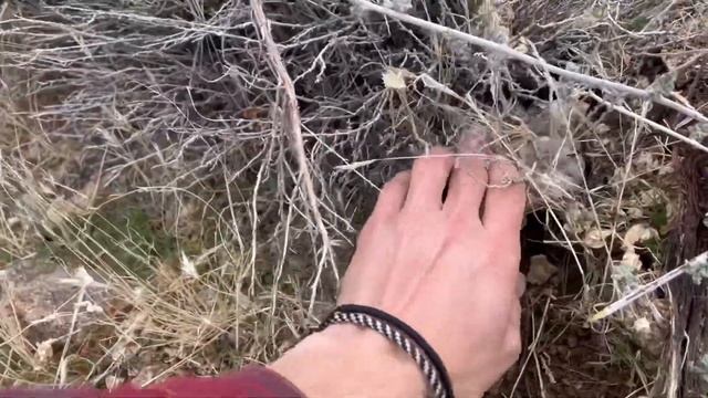 Hunting for Big Crystal Clusters | Rockhounding Near Las Vegas смотреть онлайн