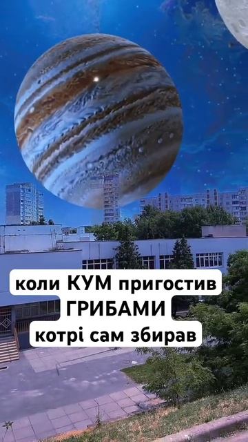 #кум #грибы #приколы смотреть онлайн