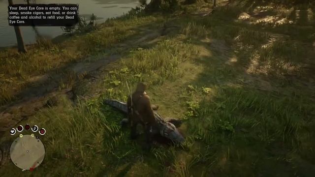 Get perfect alligator skin kill using rolling block rifle - Red Dead Redemption 2 смотреть онлайн
