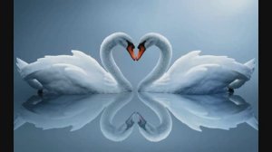 любить не страшно