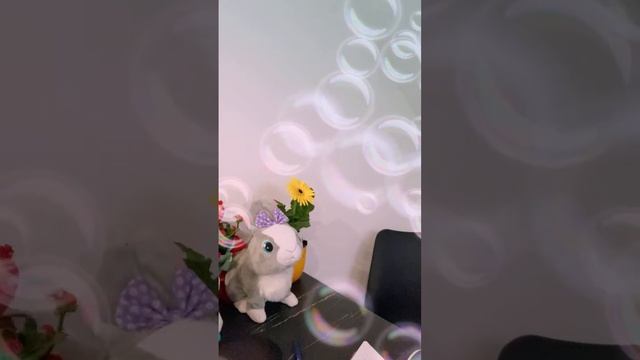 The Rumankos’ Thursday Live 3-7-24 Let’s meet new friends and grow subscribersu смотреть онлайн
