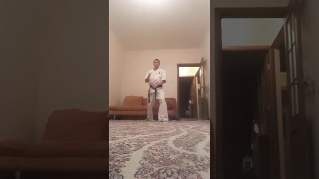 12 онлайн каратэ сабак, такырыбы: " Дзедан уке-дзенкуцу дачи" смотреть онлайн