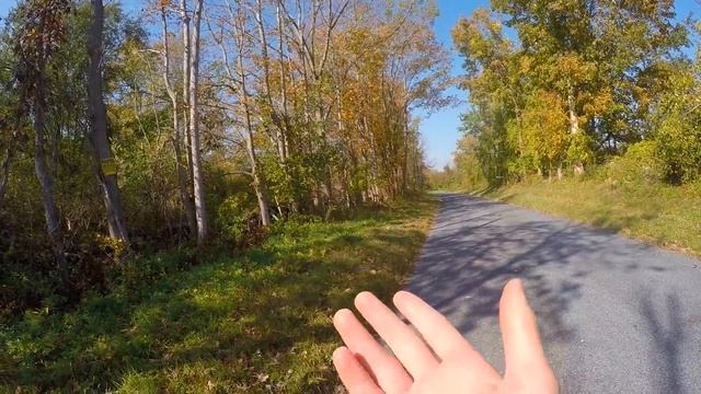 I Found An Escaped Prisoner (Called 911) смотреть онлайн