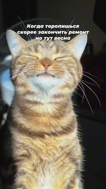 Когда спешишь скорее закончить ремонт, а тут ВЕСНА... смотреть онлайн