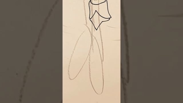 SSR Apex Orion (ibisPaint X Speedpaint) смотреть онлайн