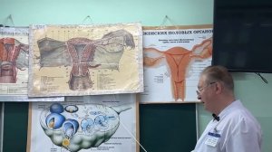 Видеолекция "Общая характеристика женских половых органов.  Яичники"