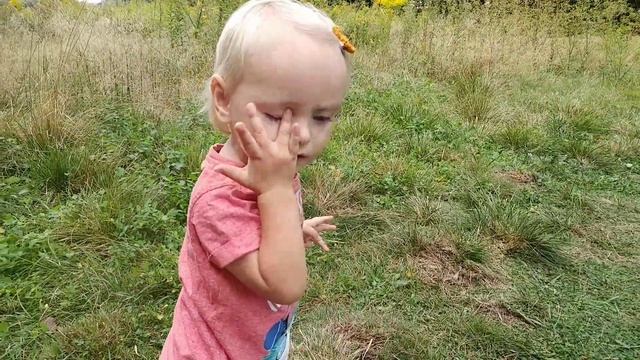 Ерго-рюкзак від Вєри Петрової: короткий огляд смотреть онлайн