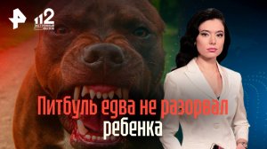 Питбуль чуть не оторвал руку ребенку — хозяева делают вид, что ничего не было
