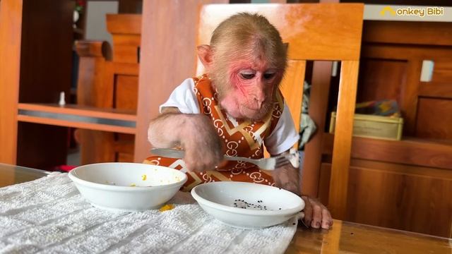 Super monkey Bibi eats his own breakfast and takes care of the chickens! смотреть онлайн