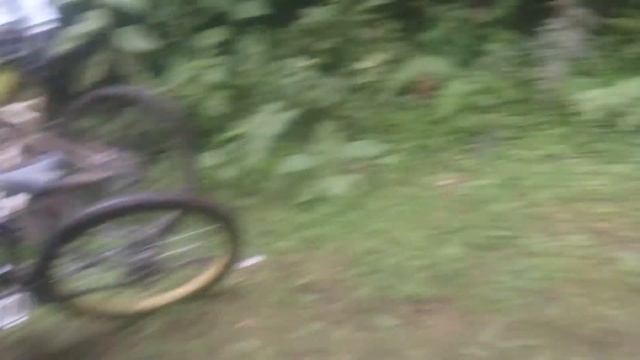 Scorpion verde смотреть онлайн