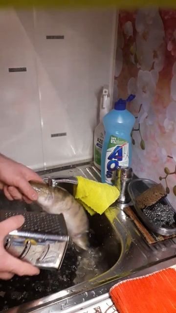 Быстрая чистка судака женщинам не смотреть!