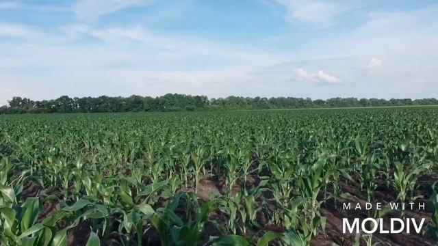 john-deere-6130 D смотреть онлайн