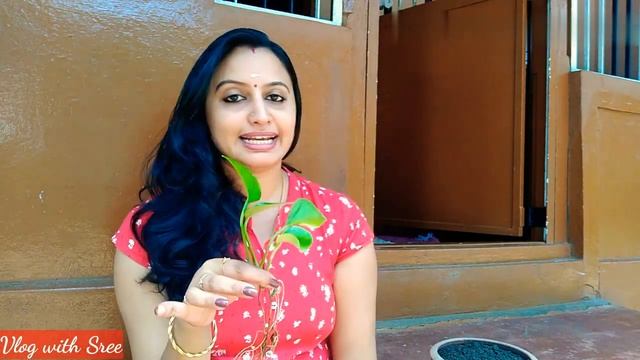 Money Plant ചട്ടിയിൽ ഇങ്ങനെ നട്ടു നോക്കു... /How to grow money plant/Malayalam смотреть онлайн