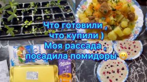 Что готовили , что купили ) Закупка продуктов , наше меню . Моя рассада , посадила помидоры .