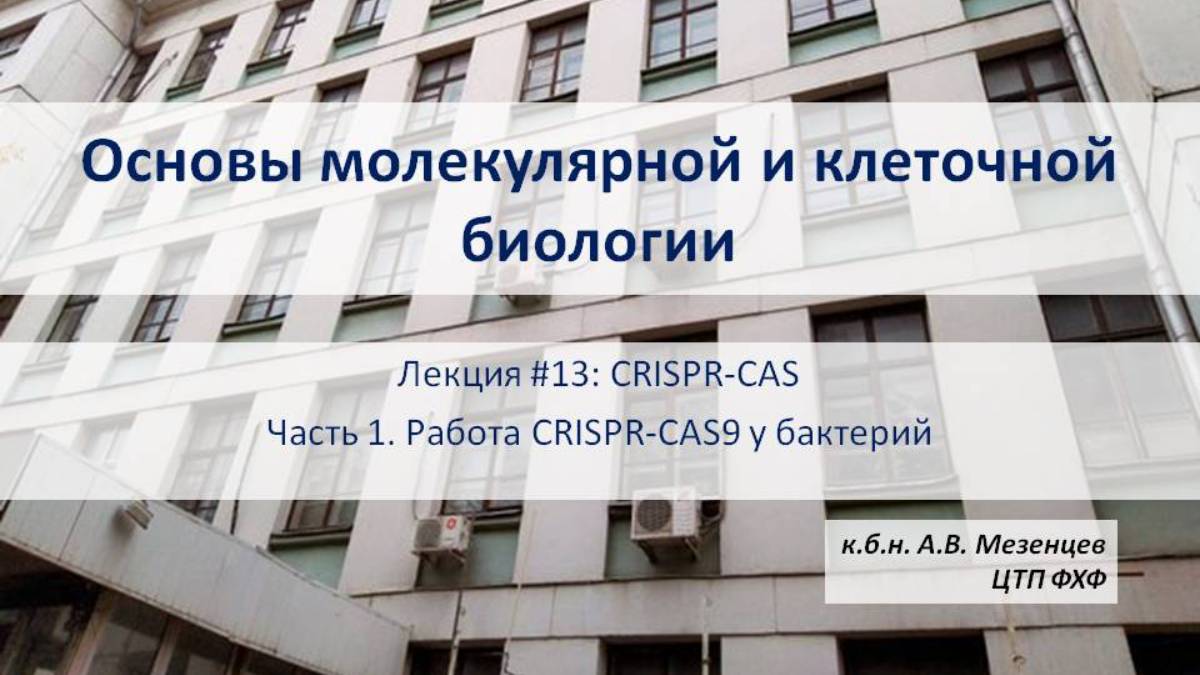 Основы молекулярной и клеточной биологии (2024) Л13 CRISPR-CAS9 Ч1 Работа CRISPR-CAS9 у бактерий