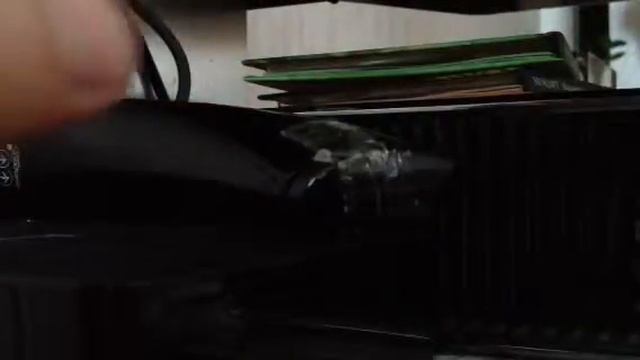 Что умеет хамечки жу жу петс смотреть онлайн