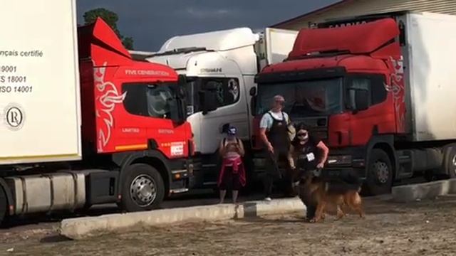 Царго фом Хаус Витаола ( Курган, кчк, 1.08.20) смотреть онлайн