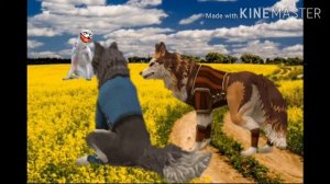 |•Страшилка•Wild Kraft•|«Кун-Кун»•|