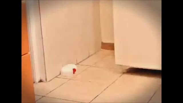 Victor Kill and Seal Hygenic Mouse Trap смотреть онлайн