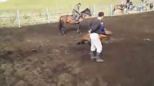 Kazakh horsemen go round the horses / Казахи-джигиты объезжают лошадей