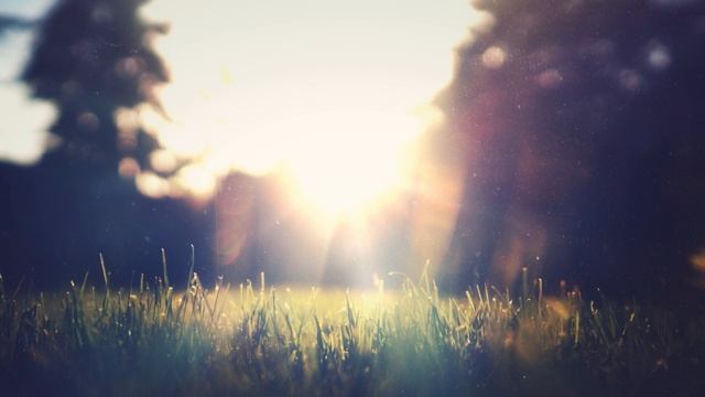 Backyard_4K_Living_Background смотреть онлайн