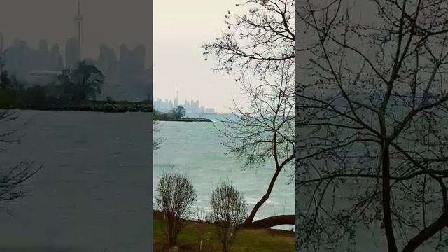 Big Waves and Strong Wind #lakeontario #canada #nature #toronto смотреть онлайн