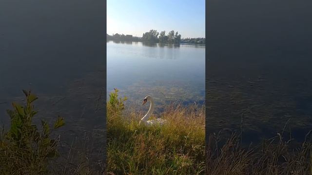 25 июля 2023 г. смотреть онлайн