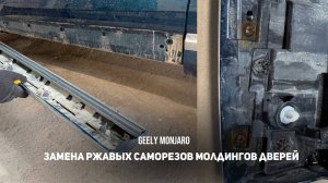Замена ржавых саморезов крепления хрома на молдингах дверей  Джили Монжаро/ Geely Monjaro