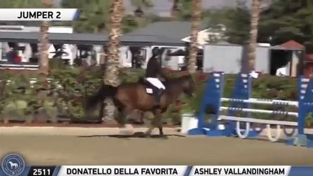Donatello Della Favorita Sale Video