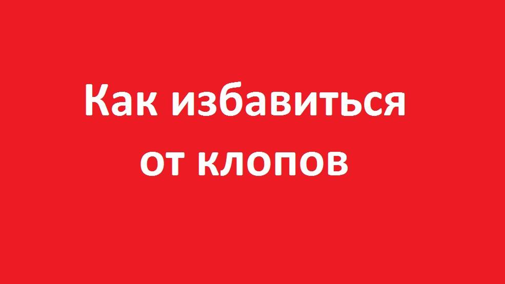 Как избавиться от клопов