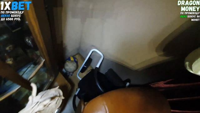 Натали напугала Гексагена! Geksagen ищет натали по всей квартире!😂😂 смотреть онлайн