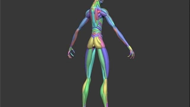 Zbrush - Tenshi Turntables смотреть онлайн