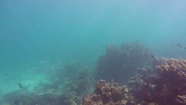 DIBBA ROCK FUJAIRAH UAE