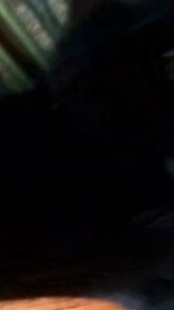 Морда классная просит о помощи. Кошка в трудном положении. #морда #классная #shorts #кошка смотреть онлайн