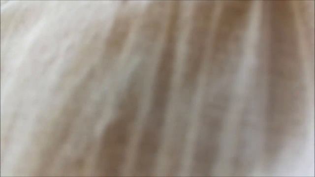 Хрустяшки моим мурлыкам :)