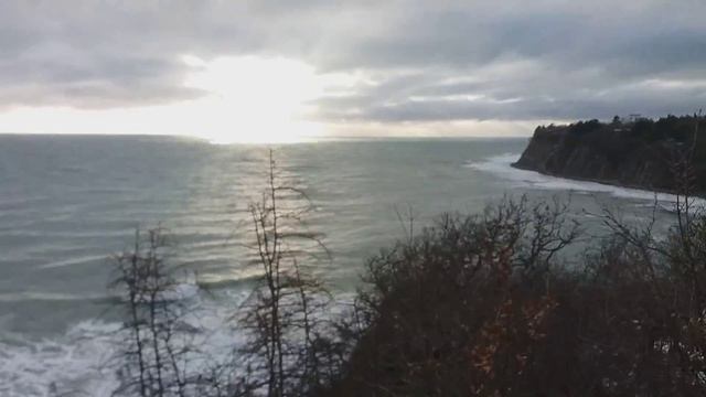 Бетта 21.01.18 море, шум прибоя смотреть онлайн