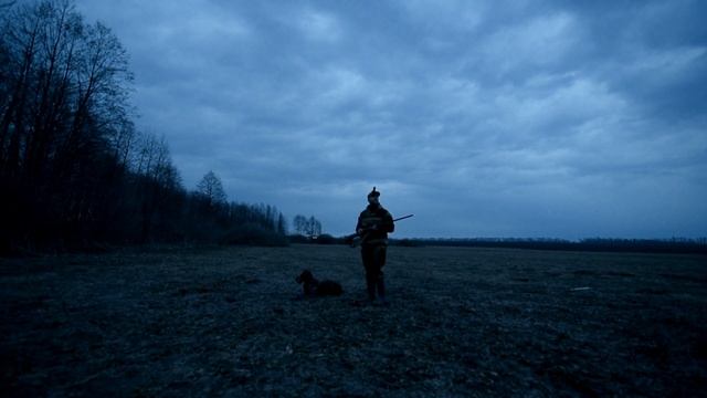 Несколько вечеров весенней охоты на вальдшнепа смотреть онлайн