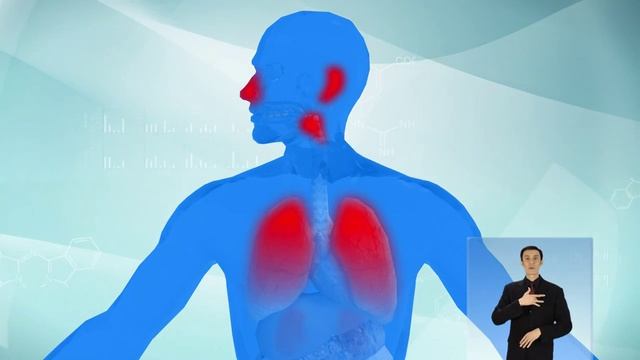 Вакцинация-надежная защита. Профилактика гриппа и ОРВИ смотреть онлайн