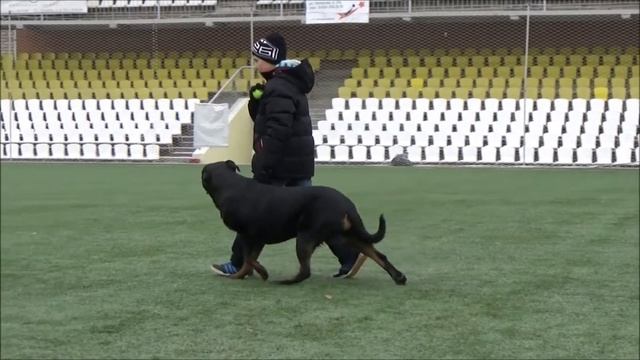 Фильм Новый смотреть онлайн