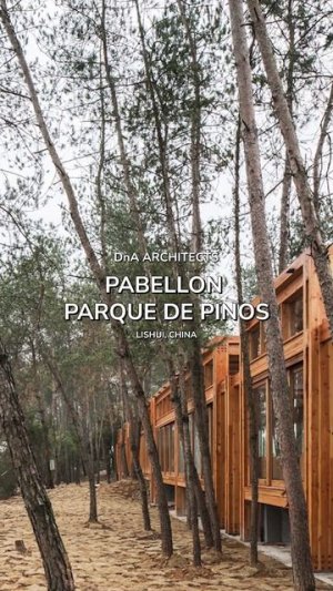PABELLON PARQUE DE PINOS increíble obra de MADERA laminada en CHINCA