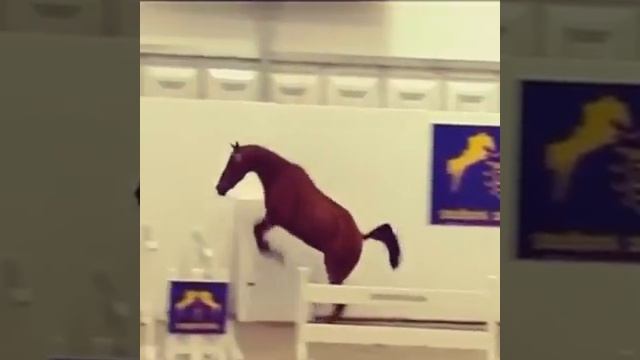 СУПЕР -- ПРЫЖОК!!! смотреть онлайн