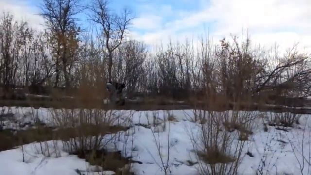 стрельба по тарелочкам с гладкоствольного оружия