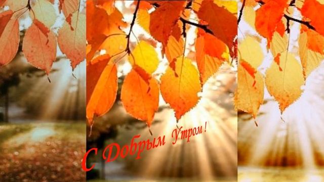 Осень Проект 1 смотреть онлайн