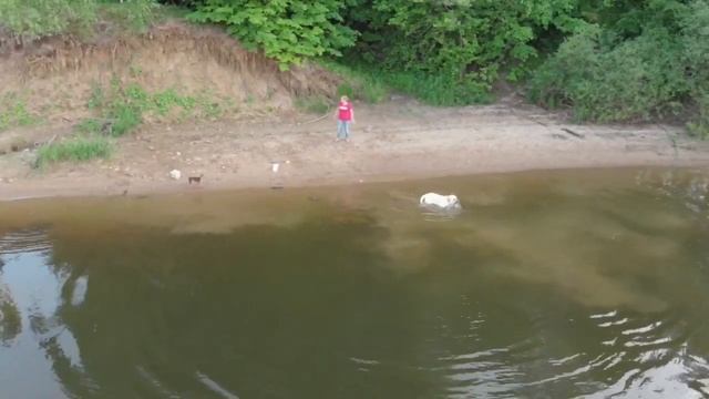 Осташево смотреть онлайн