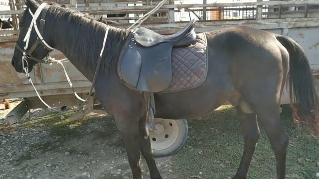 Чечня Базар в г.Урус Мартан 6.10.2019г