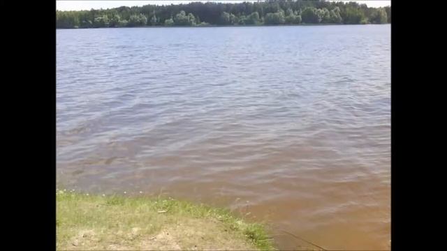 Мой Воронок