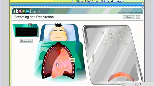 شرح الجهاز الهضمي والتنفسي ببرنامج Smart notebook /إسلام علاء الدين смотреть онлайн