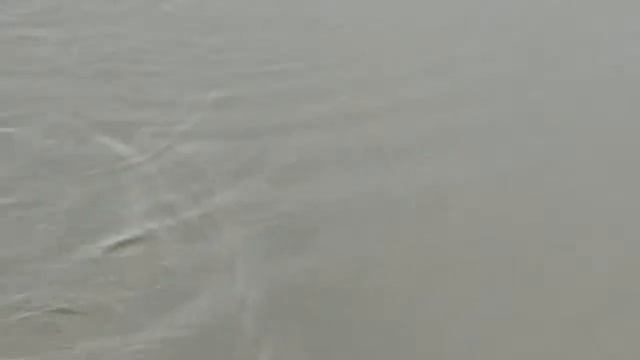 ахтуба карась