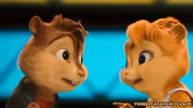 Пают борандуки между нами правада